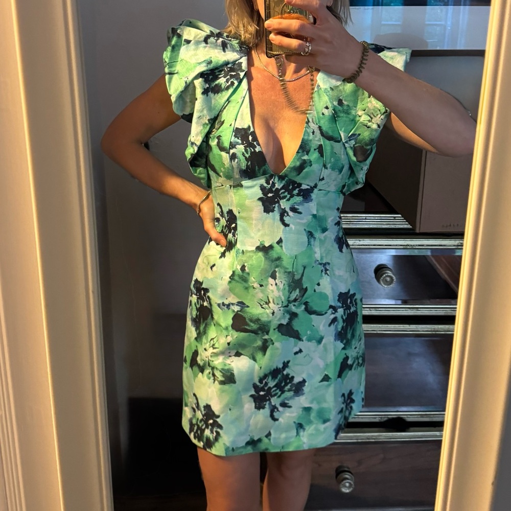 Acler Denare Spring Green Floral Ruffle Puff Sleeve Mini Dress Size 2 NWT